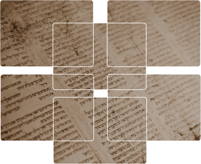 New American Standard Bible ®