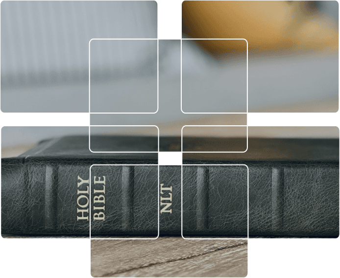 New Living Translation ®